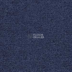 Ковролин Radici Montecarlo 35 фото 1 | FLOORDEALER