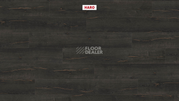 Haro Tritty 200 Aqua 4V Дуб Металлик Черный 544772 фото 2 | FLOORDEALER