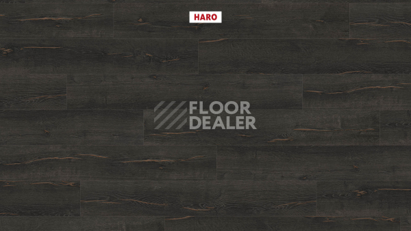 Ламинат Haro Tritty 200 Aqua 4V Дуб Металлик Черный 544772 фото 2 | FLOORDEALER