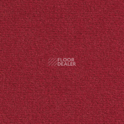 Ковролин Balsan Sydney DD 570 фото 1 | FLOORDEALER