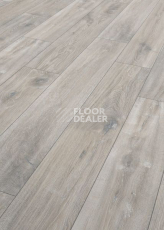 Ламинат Terhurne Classic Line 194мм 1904  Дуб Лофт  1101020888 фото 1 | FLOORDEALER