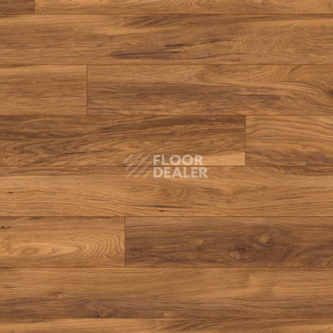 Terhurne Grand Line 1489  Каштан Светло - Коричневый  1101020829 фото 3 | FLOORDEALER