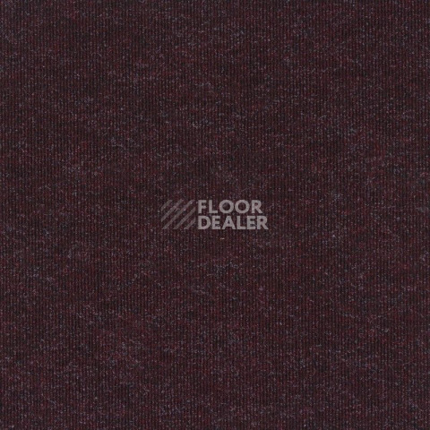 Ковролин Sintelon Ekvator 76753 фото 1 | FLOORDEALER