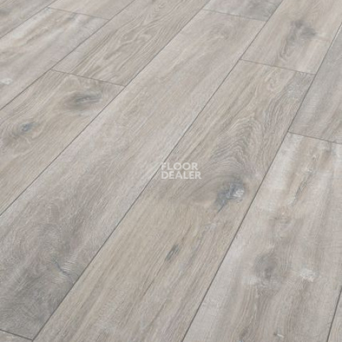 Ламинат Terhurne Classic Line 194мм 1904  Дуб Лофт  1101020888 фото 1 | FLOORDEALER
