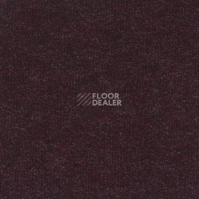 Ковролин Sintelon Ekvator 76753 фото 1 | FLOORDEALER