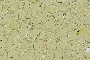 Кварцвиниловые полы Forbo Colorex SD 150232 фото  | FLOORDEALER