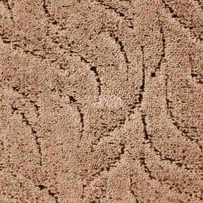 Ковролин AW Asta 46 фото 1 | FLOORDEALER