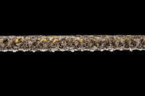 Betap Lake 125 фото 4 | FLOORDEALER