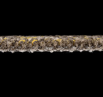 Betap Lake 125 фото 4 | FLOORDEALER