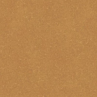 Линолеум Grabo Silver Knight Acoustic 9 455_869-2219 фото 1 | FLOORDEALER