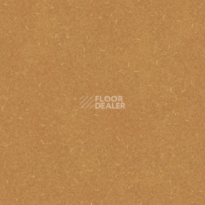 Линолеум Grabo Silver Knight Acoustic 9 455_869-2219 фото 1 | FLOORDEALER