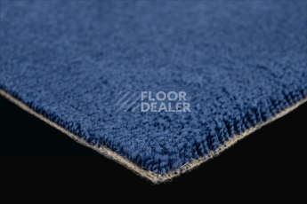 Lano Sense Pure 880 фото 5 | FLOORDEALER