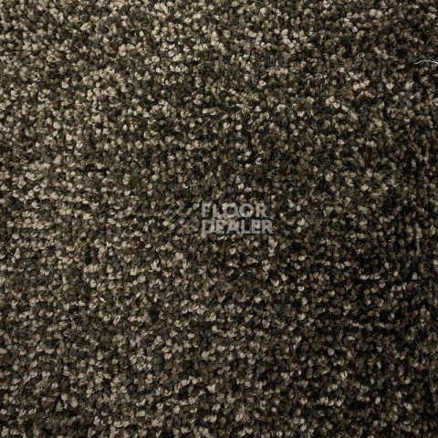 Ковролин Urgaz Либерти 10167 фото 1 | FLOORDEALER