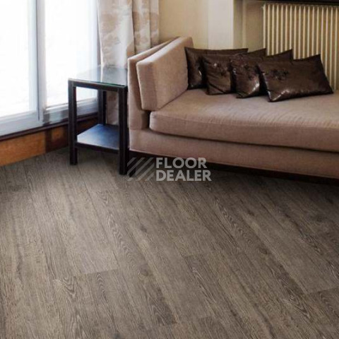 Wood OAK RUSTIC SILVER фото 3 | FLOORDEALER