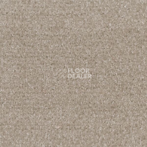 Ковролин Big Fancy 305 фото 1 | FLOORDEALER