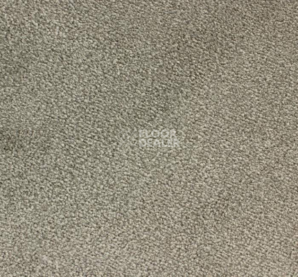 Ковролин Edel Ambition 149 фото 1 | FLOORDEALER