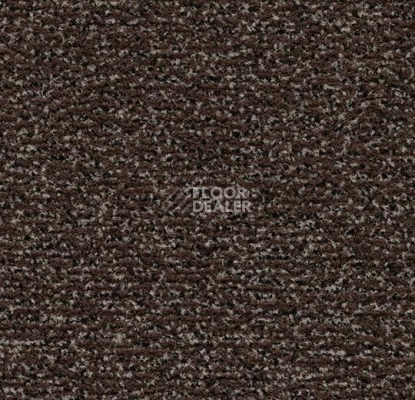 Грязезащитные покрытия Forbo Coral Classic 4784 Coffee фото 1 | FLOORDEALER