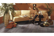 Kronotex Mammut Plus d4738 Дуб Северный фото 9 | FLOORDEALER