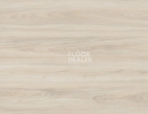 Кварцвиниловые полы Evofloor Optima Click 4.2мм Дуб Айвори фото 1 | FLOORDEALER