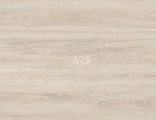 Кварцвиниловые полы Evofloor Optima Click 4.2мм Дуб Айвори фото 1 | FLOORDEALER