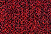 Escom CITY 380 фото 3 | FLOORDEALER