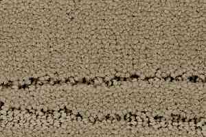 Ковролин Balsan Saigon 630 фото  | FLOORDEALER