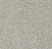 Ковролин AW Invictus Romelus 90 фото 1 | FLOORDEALER