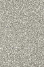 Ковролин AW Invictus Romelus 90 фото 1 | FLOORDEALER