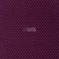 Ковролин Sintelon Podium 78913 фото 1 | FLOORDEALER