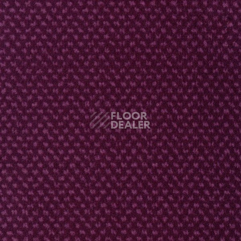 Ковролин Sintelon Podium 78913 фото 1 | FLOORDEALER