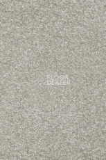 Ковролин AW Invictus Romelus 90 фото 1 | FLOORDEALER