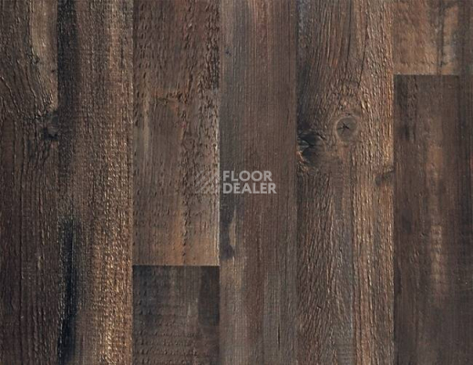 Линолеум Grabo Terrana 22 4309-269-4 фото 1 | FLOORDEALER