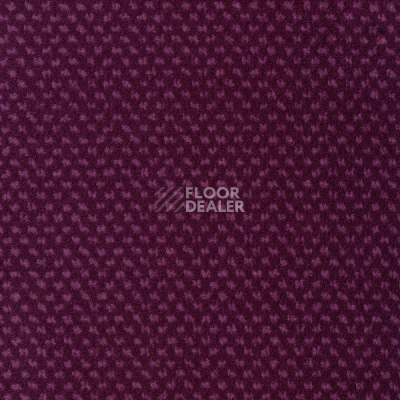 Ковролин Sintelon Podium 78913 фото 1 | FLOORDEALER