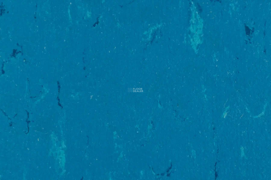 Forbo Marmoleum Solid Piano 3645-364535 Neptune blue фото 2 | FLOORDEALER