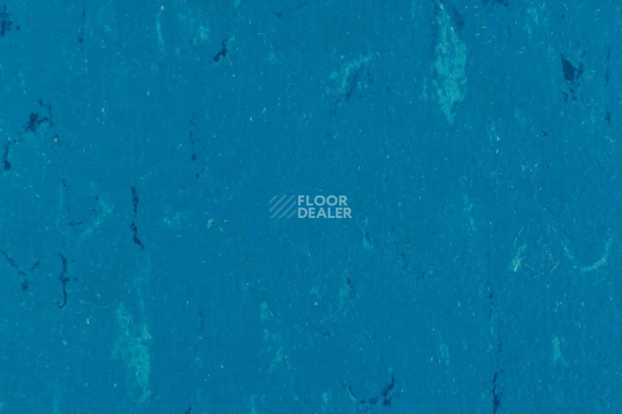 Forbo Marmoleum Solid Piano 3645-364535 Neptune blue фото 2 | FLOORDEALER