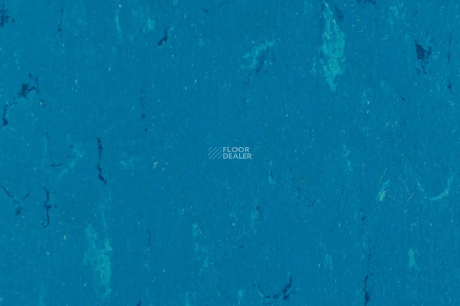 Forbo Marmoleum Solid Piano 3645-364535 Neptune blue фото 2 | FLOORDEALER