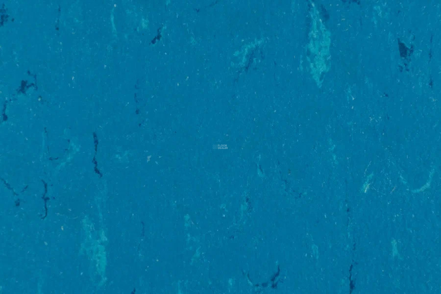 Forbo Marmoleum Solid Piano 3645-364535 Neptune blue фото 2 | FLOORDEALER