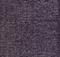 Ковролин Emphatic Beaulieu of America 56491 фото 1 | FLOORDEALER