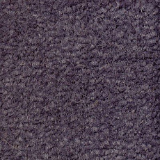 Ковролин Emphatic Beaulieu of America 56491 фото 1 | FLOORDEALER