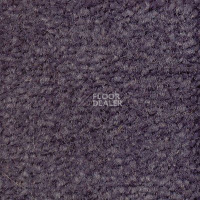 Ковролин Emphatic Beaulieu of America 56491 фото 1 | FLOORDEALER