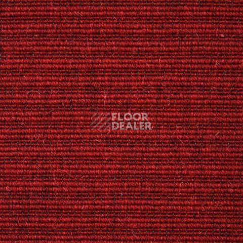 Ковролин Carpet Concept Eco Wool 596027 фото 1 | FLOORDEALER
