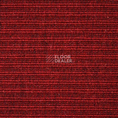 Ковролин Carpet Concept Eco Wool 596027 фото 1 | FLOORDEALER