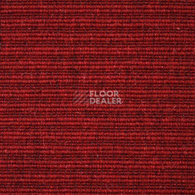Ковролин Carpet Concept Eco Wool 596027 фото 1 | FLOORDEALER