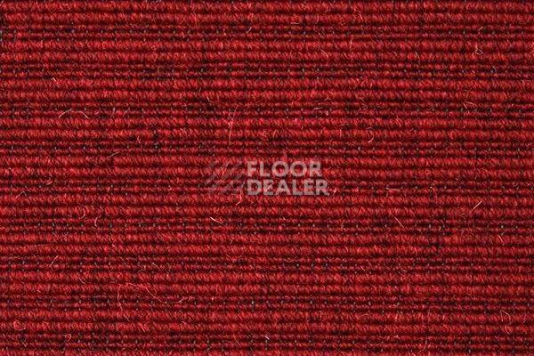 Ковролин Carpet Concept Eco Wool 596027 фото 1 | FLOORDEALER