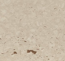 Плинтус Dollken EP 60/13 2342 фото 2 | FLOORDEALER