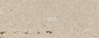 Плинтус Dollken EP 60/13 2342 фото 2 | FLOORDEALER