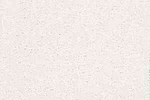 Ковролин Balta TRINITY Trinity 0600 фото  | FLOORDEALER