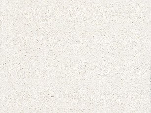 Ковролин Balta TRINITY Trinity 0600 фото 1 | FLOORDEALER