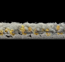 ColorKey ColorKey c 03 фото 3 | FLOORDEALER