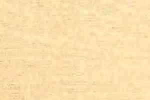 Ковролин Balta ITC Parma 30 фото  | FLOORDEALER